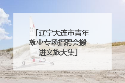 辽宁大连市青年就业专场招聘会搬进文旅大集
