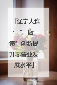 辽宁大连：“一店一策”创新提升零售业发展水平
