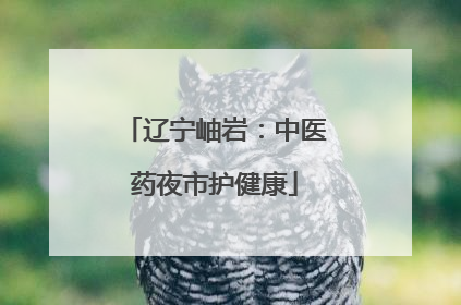 辽宁岫岩：中医药夜市护健康