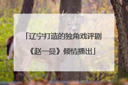 辽宁打造的独角戏评剧《赵一曼》倾情播出