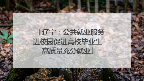 辽宁：公共就业服务进校园促进高校毕业生高质量充分就业