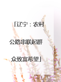 辽宁：农村公路串联起群众致富希望