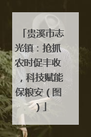 贵溪市志光镇：抢抓农时促丰收，科技赋能保粮安（图）