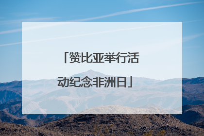 赞比亚举行活动纪念非洲日