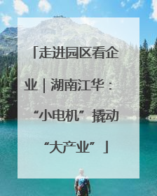 走进园区看企业｜湖南江华：“小电机”撬动“大产业”