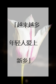 越来越多年轻人爱上新乡