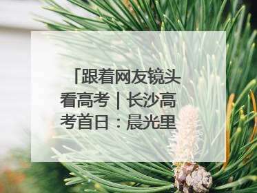 跟着网友镜头看高考｜长沙高考首日：晨光里的奔赴与守望