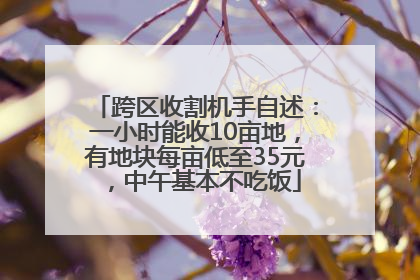 跨区收割机手自述：一小时能收10亩地，有地块每亩低至35元，中午基本不吃饭