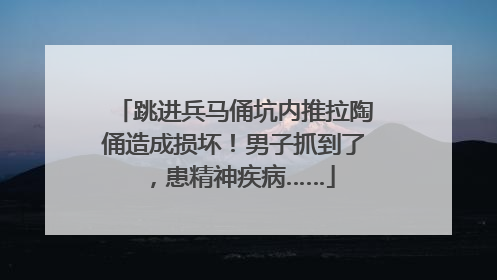 跳进兵马俑坑内推拉陶俑造成损坏！男子抓到了，患精神疾病……