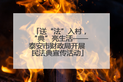 送“法”入村，“典”亮生活——泰安市财政局开展民法典宣传活动