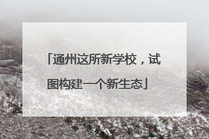 通州这所新学校，试图构建一个新生态