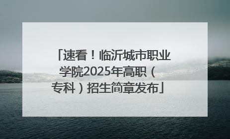 速看！临沂城市职业学院2025年高职（专科）招生简章发布