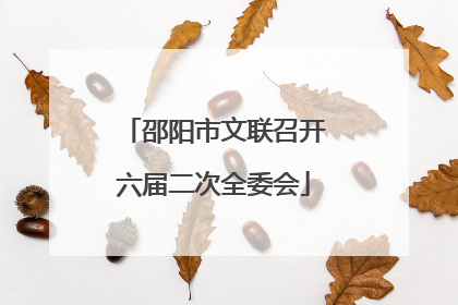 邵阳市文联召开六届二次全委会