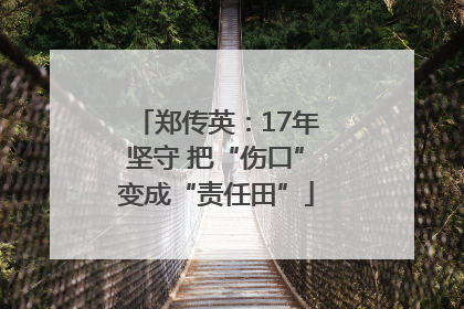郑传英：17年坚守 把“伤口”变成“责任田”