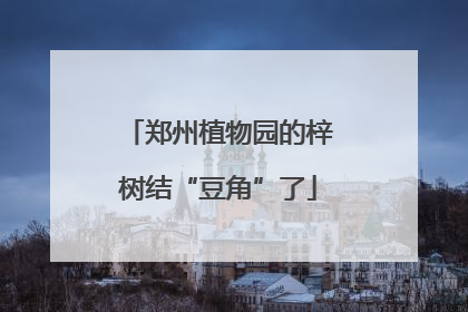 郑州植物园的梓树结“豆角”了