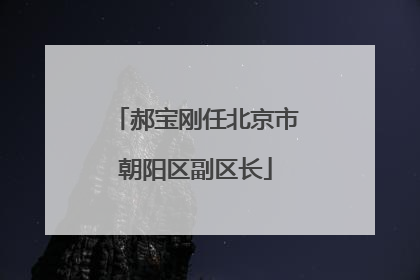 郝宝刚任北京市朝阳区副区长