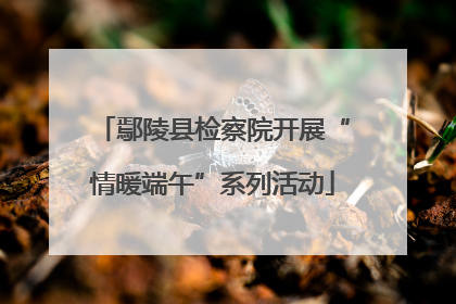 鄢陵县检察院开展“情暖端午”系列活动