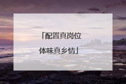 配置真岗位 体味真乡情