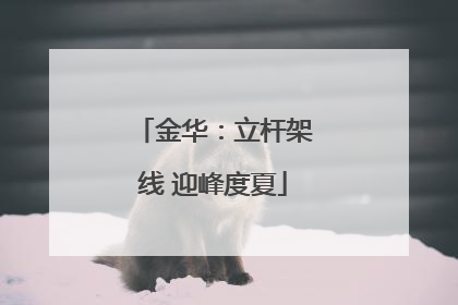金华：立杆架线 迎峰度夏