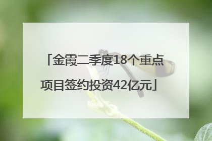 金霞二季度18个重点项目签约投资42亿元