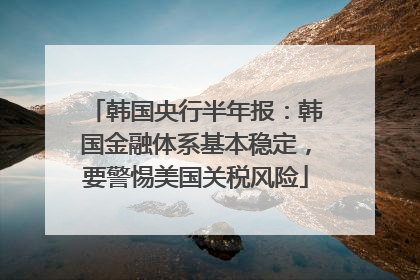 韩国央行半年报：韩国金融体系基本稳定，要警惕美国关税风险