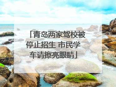青岛两家驾校被停止招生 市民学车请擦亮眼睛