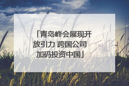 青岛峰会展现开放引力 跨国公司加码投资中国