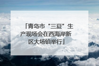 青岛市“三夏”生产现场会在西海岸新区大场镇举行