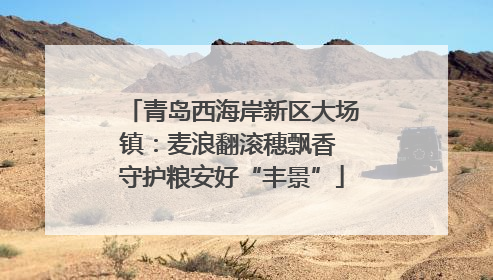 青岛西海岸新区大场镇：麦浪翻滚穗飘香 守护粮安好“丰景”