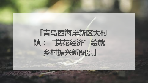 青岛西海岸新区大村镇：“赏花经济”绘就乡村振兴新图景
