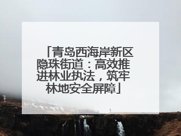 青岛西海岸新区隐珠街道：高效推进林业执法，筑牢林地安全屏障