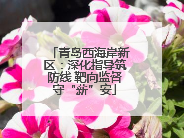 青岛西海岸新区：深化指导筑防线 靶向监督守“薪”安