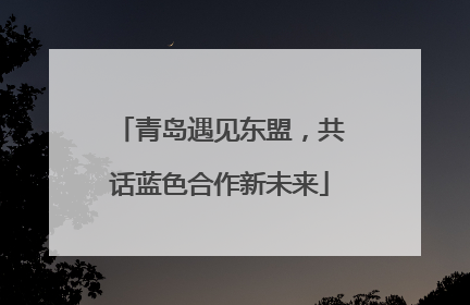 青岛遇见东盟，共话蓝色合作新未来