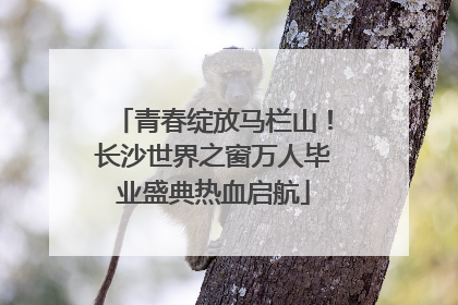 青春绽放马栏山！长沙世界之窗万人毕业盛典热血启航