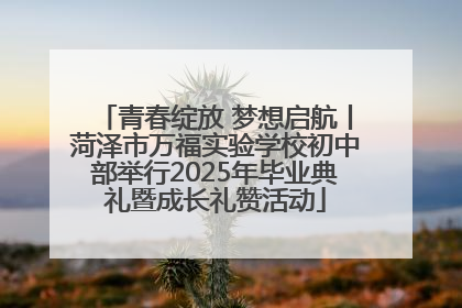 青春绽放 梦想启航丨菏泽市万福实验学校初中部举行2025年毕业典礼暨成长礼赞活动