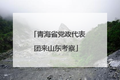 青海省党政代表团来山东考察