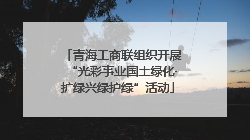 青海工商联组织开展“光彩事业国土绿化·扩绿兴绿护绿”活动