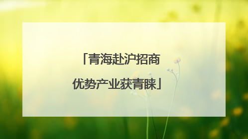 青海赴沪招商 优势产业获青睐