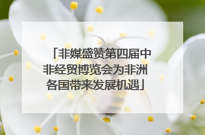 非媒盛赞第四届中非经贸博览会为非洲各国带来发展机遇