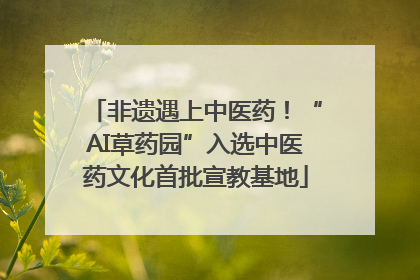 非遗遇上中医药！“AI草药园”入选中医药文化首批宣教基地