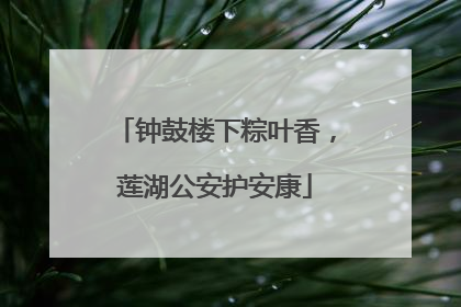 钟鼓楼下粽叶香，莲湖公安护安康