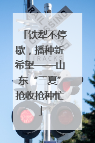 铁犁不停歇，播种新希望——山东“三夏”抢收抢种忙