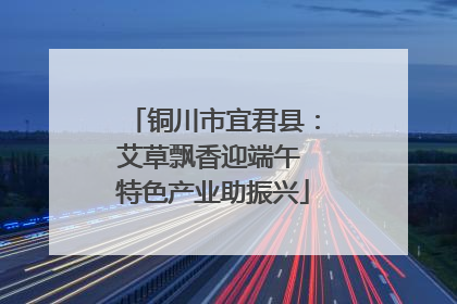 铜川市宜君县：艾草飘香迎端午 特色产业助振兴