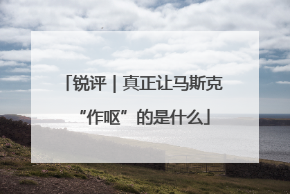 锐评｜真正让马斯克“作呕”的是什么