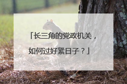 长三角的党政机关，如何过好紧日子？