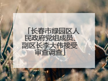长春市绿园区人民政府党组成员、副区长李大伟接受审查调查