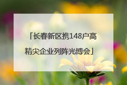 长春新区携148户高精尖企业列阵光博会