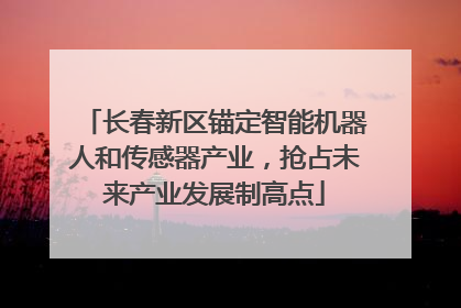 长春新区锚定智能机器人和传感器产业，抢占未来产业发展制高点