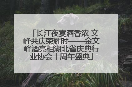 长江夜宴酒香浓 文峰共庆荣耀时——金文峰酒亮相湖北省庆典行业协会十周年盛典
