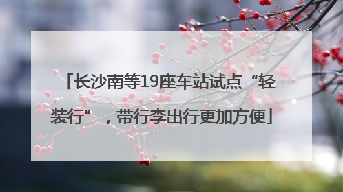 长沙南等19座车站试点“轻装行”，带行李出行更加方便